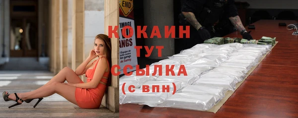 PSILOCYBIN Шали