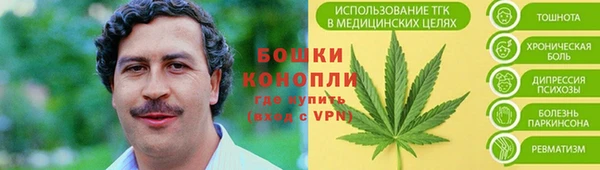 крисы Шадринск