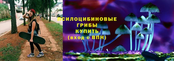 шишки Дмитровск