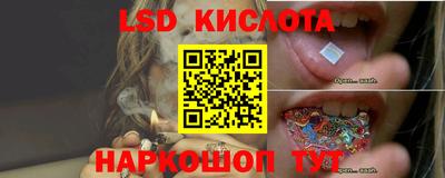 a pvp Краснодар