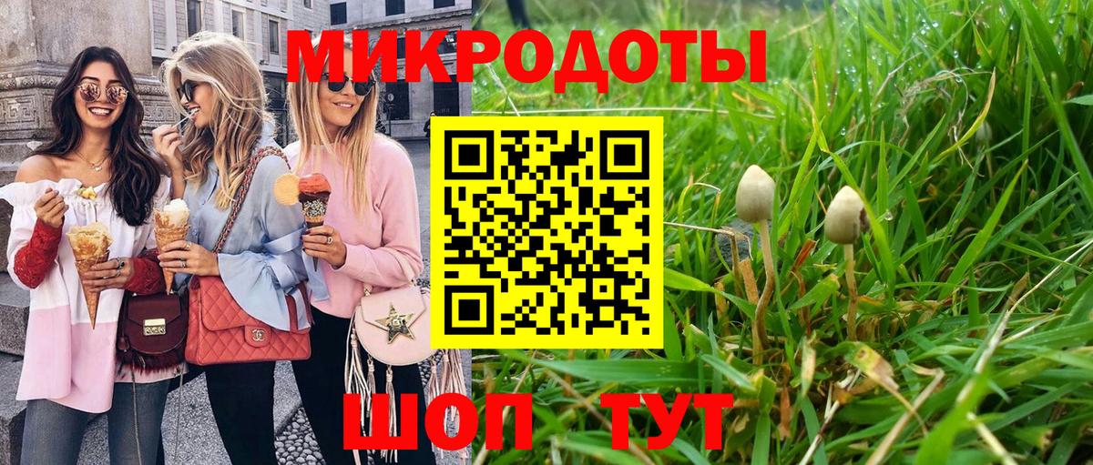 Псилоцибиновые грибы мицелий  Вход с VPN  Сальск 